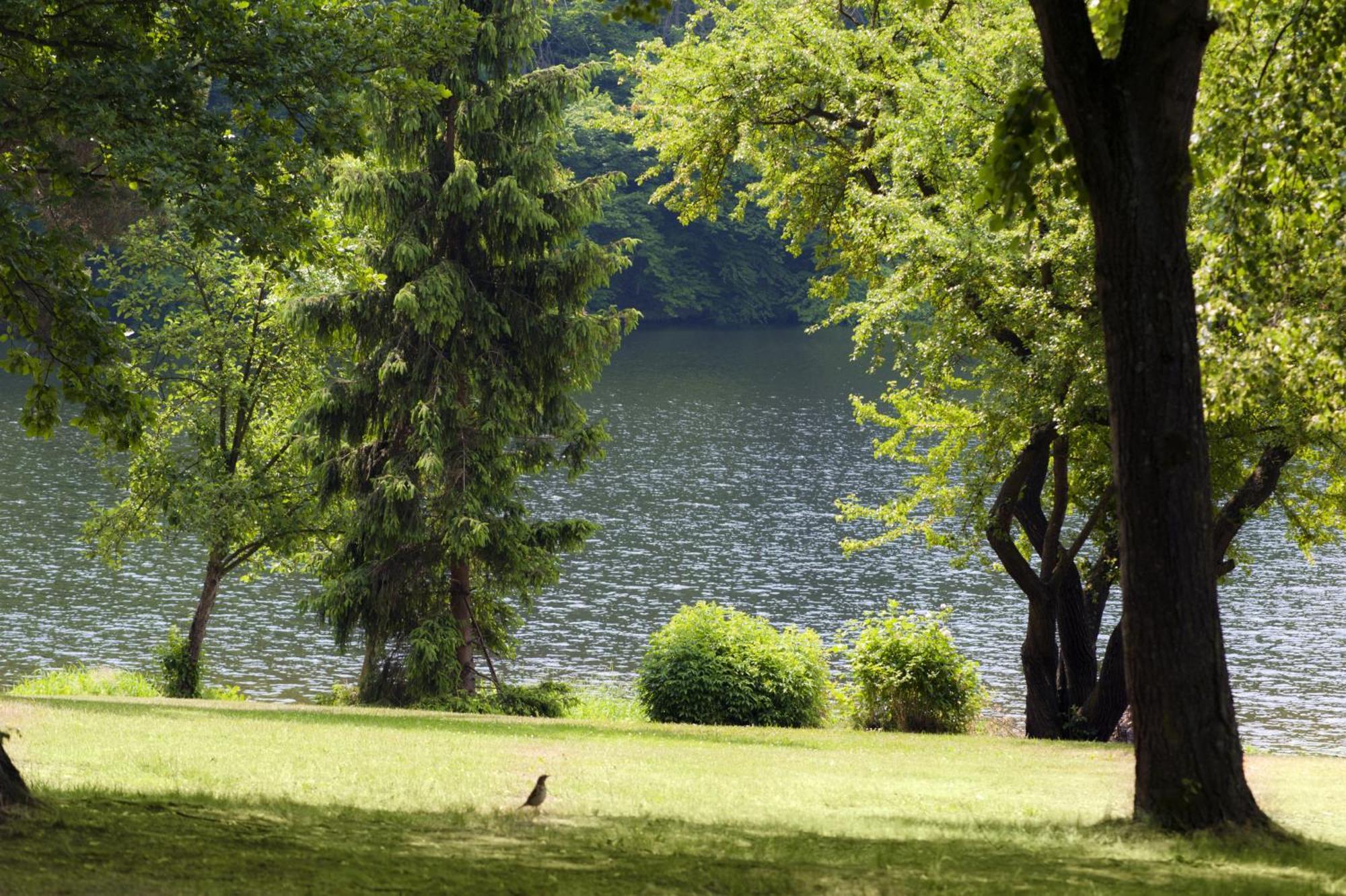 Křečovice Resort Beach Nova Zivohost מראה חיצוני תמונה